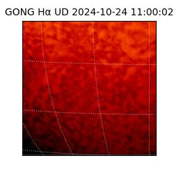 gong - 2024-10-24T11:00:02