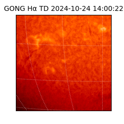 gong - 2024-10-24T14:00:22