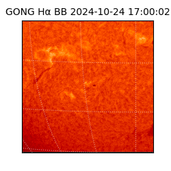 gong - 2024-10-24T17:00:02