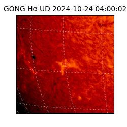 gong - 2024-10-24T04:00:02