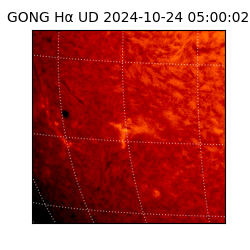 gong - 2024-10-24T05:00:02