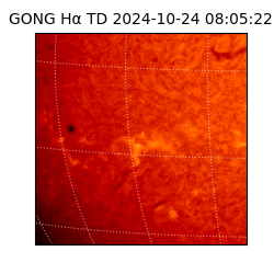 gong - 2024-10-24T08:05:22