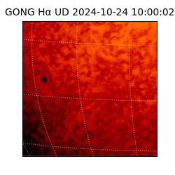 gong - 2024-10-24T10:00:02