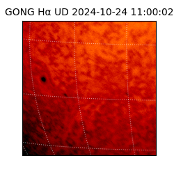 gong - 2024-10-24T11:00:02