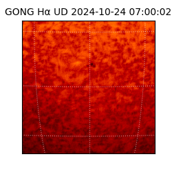 gong - 2024-10-24T07:00:02