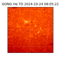 gong - 2024-10-24T08:05:22