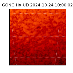 gong - 2024-10-24T10:00:02