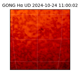 gong - 2024-10-24T11:00:02