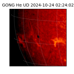 gong - 2024-10-24T02:24:02