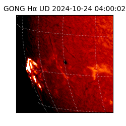 gong - 2024-10-24T04:00:02