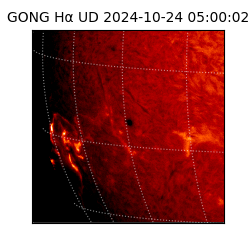 gong - 2024-10-24T05:00:02