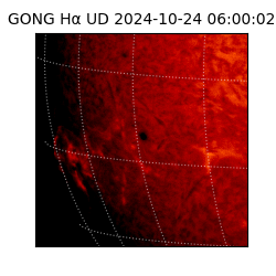 gong - 2024-10-24T06:00:02