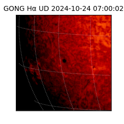 gong - 2024-10-24T07:00:02