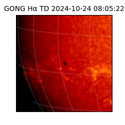 gong - 2024-10-24T08:05:22