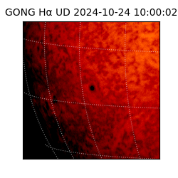 gong - 2024-10-24T10:00:02