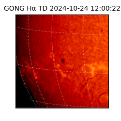 gong - 2024-10-24T12:00:22