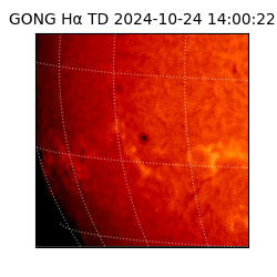 gong - 2024-10-24T14:00:22