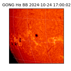 gong - 2024-10-24T17:00:02
