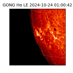 gong - 2024-10-24T01:00:42