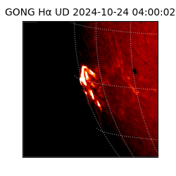 gong - 2024-10-24T04:00:02