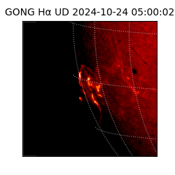 gong - 2024-10-24T05:00:02