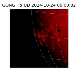 gong - 2024-10-24T06:00:02