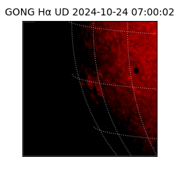 gong - 2024-10-24T07:00:02