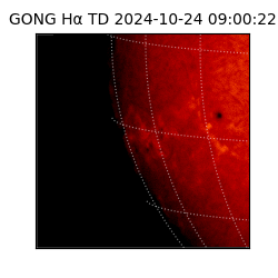 gong - 2024-10-24T09:00:22