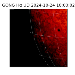 gong - 2024-10-24T10:00:02