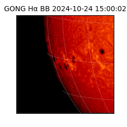 gong - 2024-10-24T15:00:02