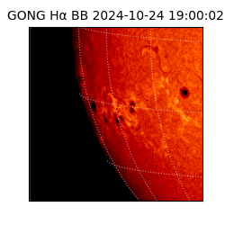 gong - 2024-10-24T19:00:02