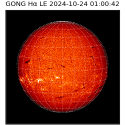 gong - 2024-10-24T01:00:42