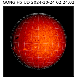 gong - 2024-10-24T02:24:02