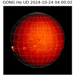 gong - 2024-10-24T04:00:02