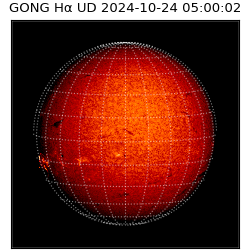 gong - 2024-10-24T05:00:02