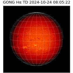 gong - 2024-10-24T08:05:22