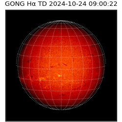 gong - 2024-10-24T09:00:22