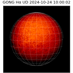 gong - 2024-10-24T10:00:02