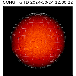 gong - 2024-10-24T12:00:22