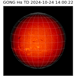 gong - 2024-10-24T14:00:22