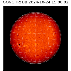 gong - 2024-10-24T15:00:02