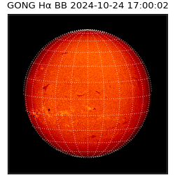 gong - 2024-10-24T17:00:02