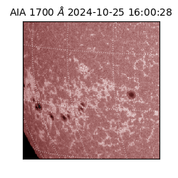 saia - 2024-10-25T16:00:28.717000