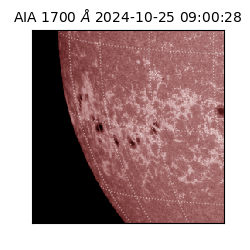 saia - 2024-10-25T09:00:28.729000