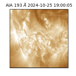 saia - 2024-10-25T19:00:05.958000