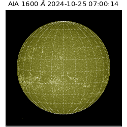saia - 2024-10-25T07:00:14.126000