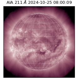saia - 2024-10-25T08:00:09.631000