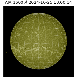 saia - 2024-10-25T10:00:14.125000