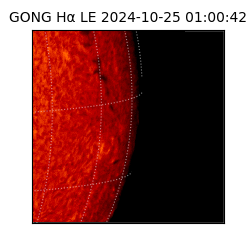 gong - 2024-10-25T01:00:42