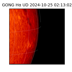 gong - 2024-10-25T02:13:02